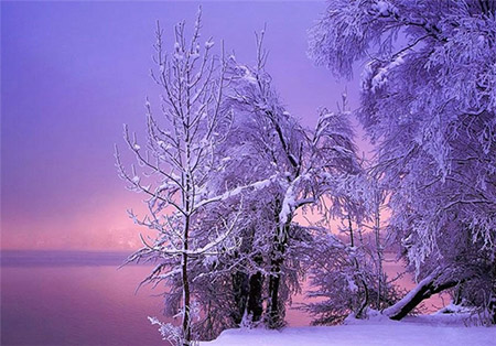 عکس های دیدنی از زیبایی های زمستان!